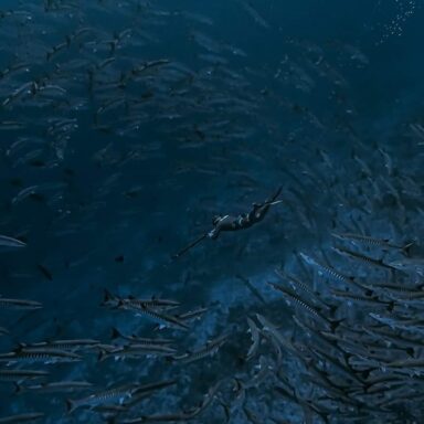 Underwater Fishing Initiation/ fishing on foot on the reef flat 001