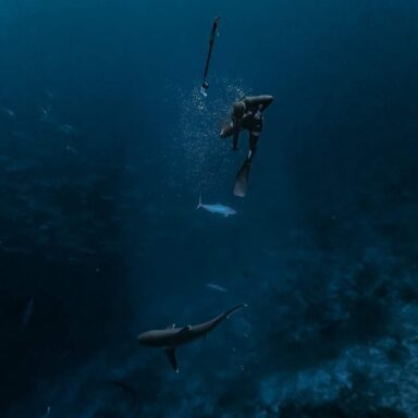 Underwater Fishing Initiation/ fishing on foot on the reef flat 002